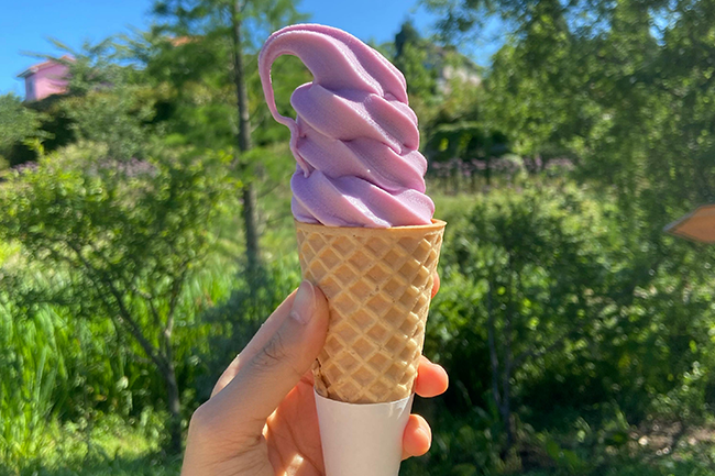 Illustration - Glaces artisanales événements d'entreprise