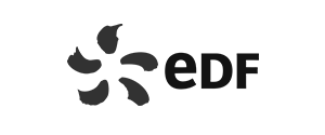 logo edf